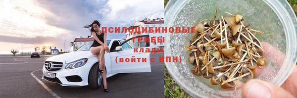 МДПВ Алзамай